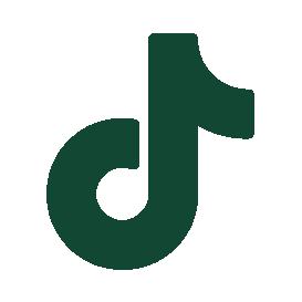 TikTok Logo